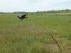 Flying pigeon bouncer
