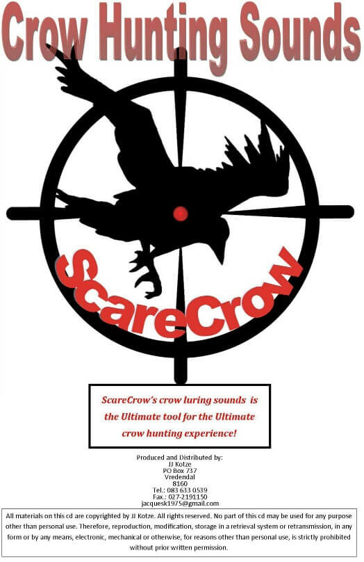 Realistic-looking duck decoy about to land