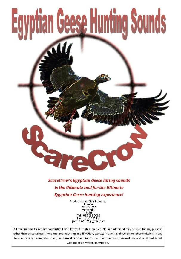 Realistic-looking duck decoy about to land